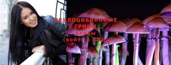 ешки Иннополис
