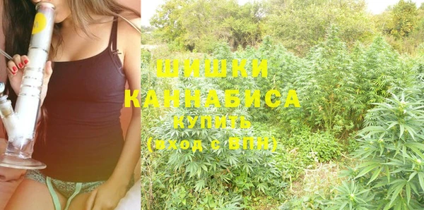 каннабис Инта